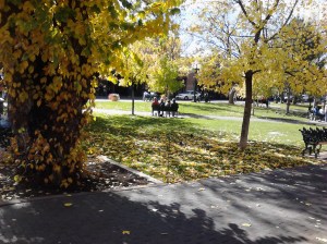 AUTUMN AWESOME SANTA FE, NM  