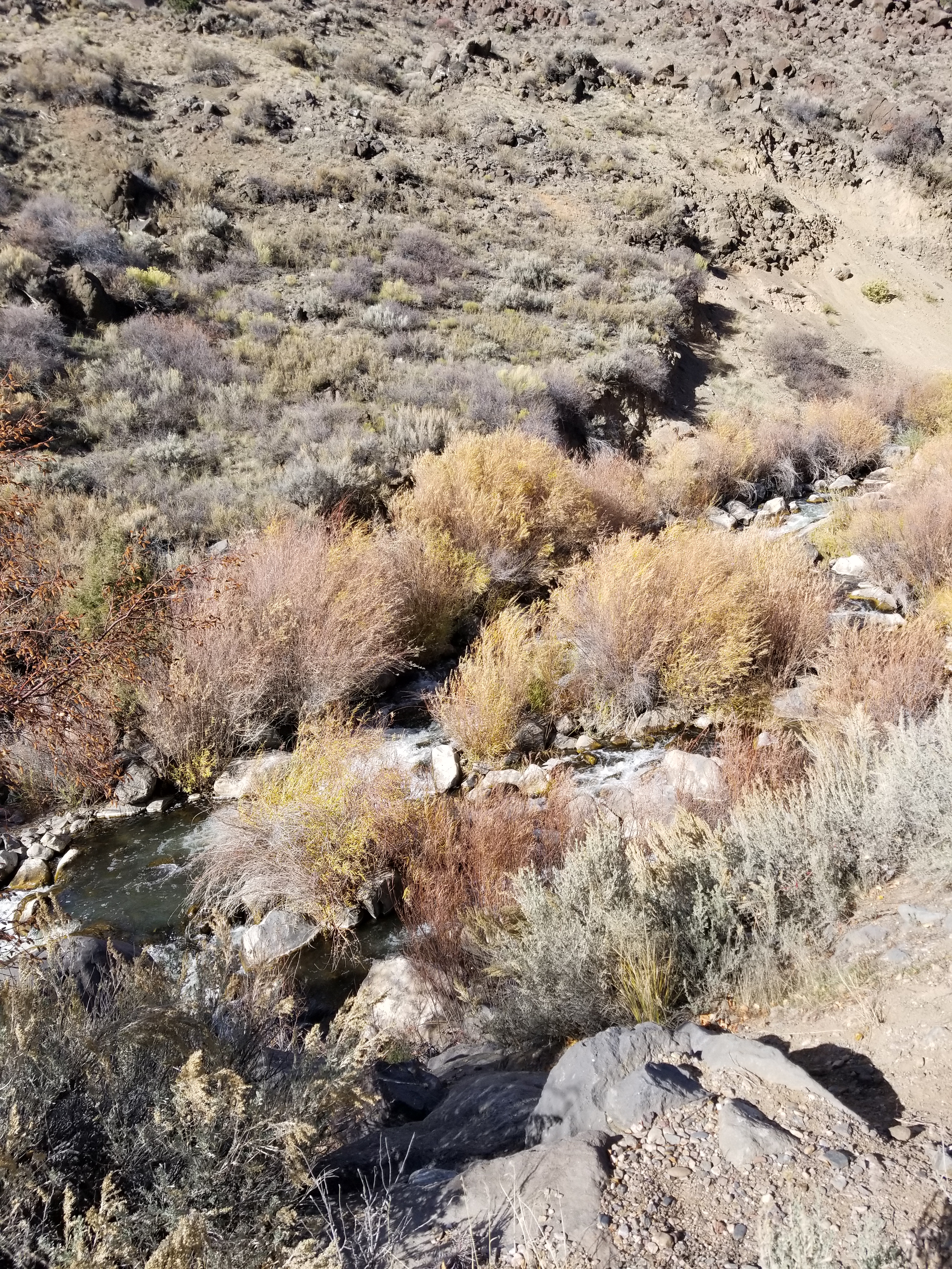 20171105_135055