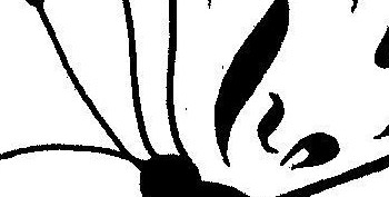 e4ef93000387449b61736ab73c004536